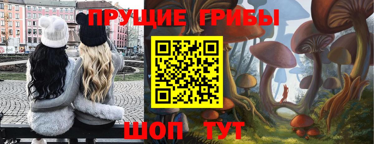 Псилоцибиновые грибы ЛСД Минусинск
