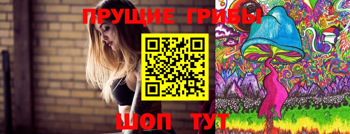Минусинск  Галлюциногенные грибы Psilocybe  Вход с VPN 